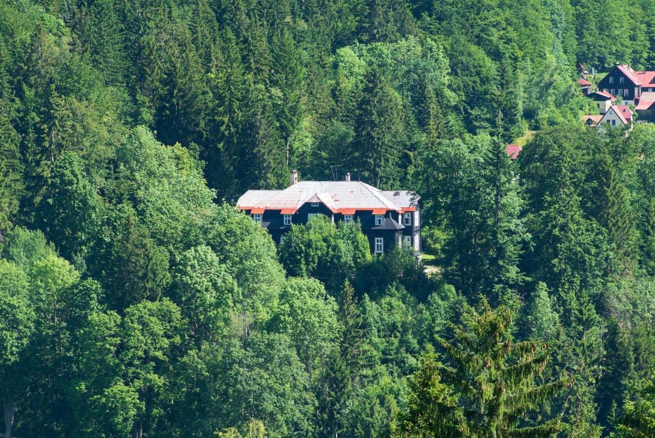 Chateau *